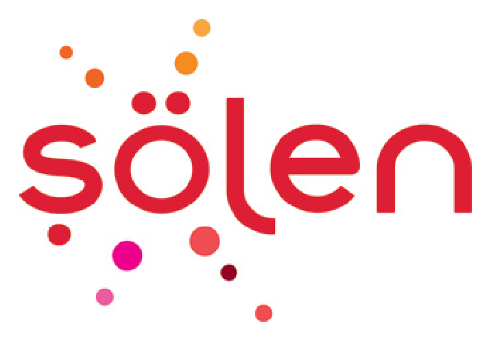 Şölen