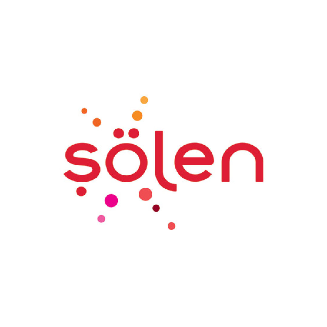 Şölen